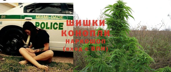 прущие крисы Медвежьегорск