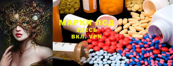 прущие крисы Медвежьегорск