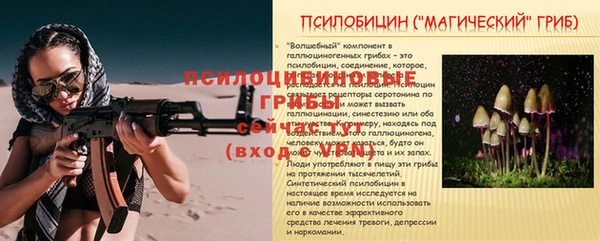 прущие крисы Медвежьегорск