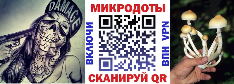 МЕГА ссылка  Весьегонск  Галлюциногенные грибы ЛСД 